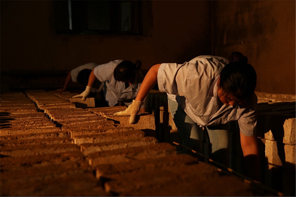 匠人師傅正在翻動(dòng)曲胚。張?zhí)炝z