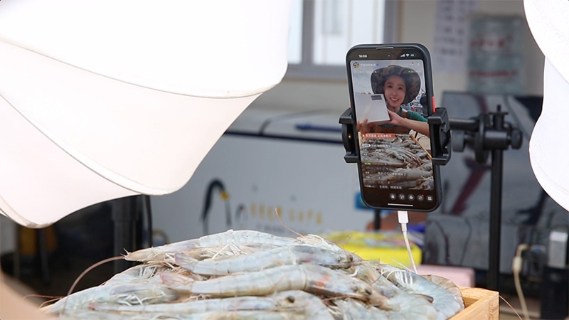 江蘇連云港，村民進(jìn)行直播銷售。范堯攝