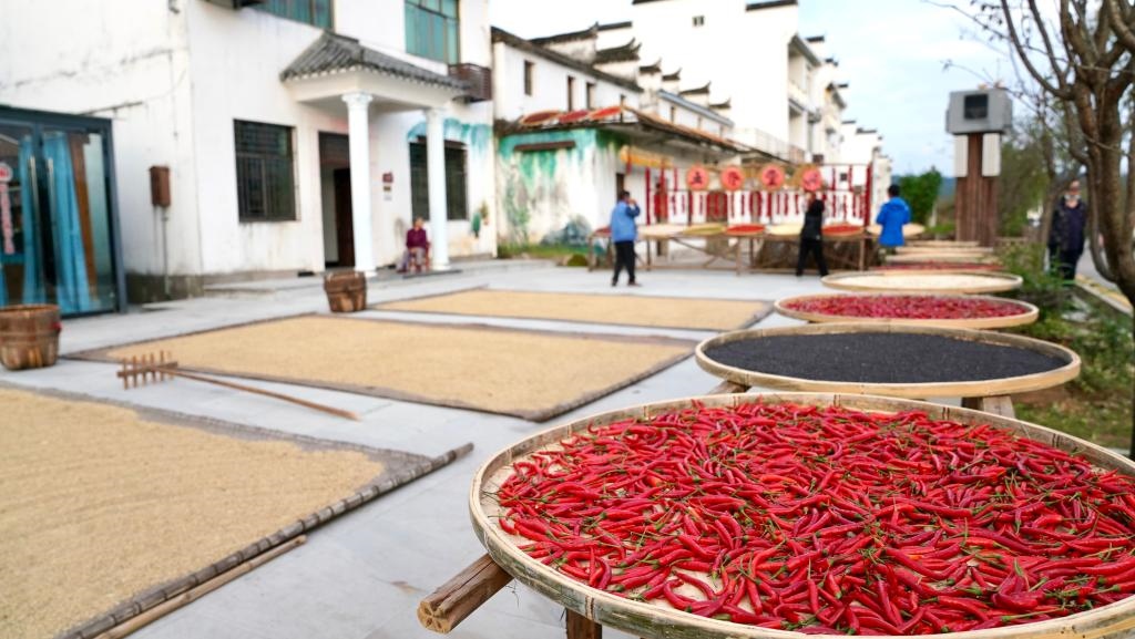 近日拍攝的江西省上饒市婺源縣秋口鎮(zhèn)王村石門自然村。新華社記者 胡晨歡 攝