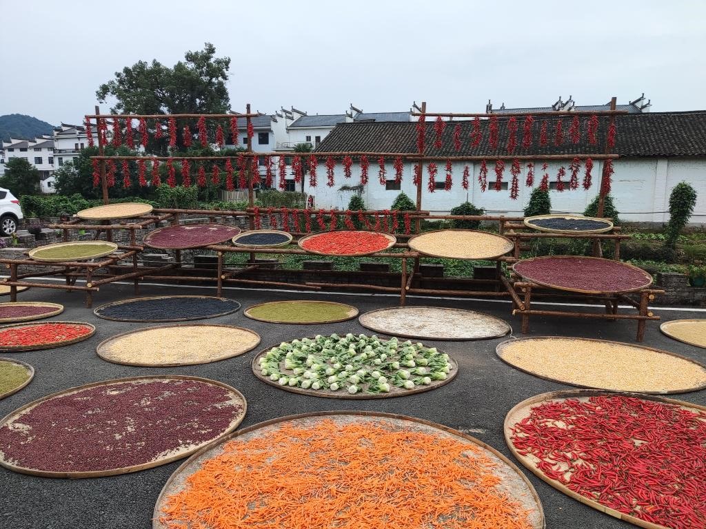 近日，江西省上饒市婺源縣秋口鎮(zhèn)王村村民晾曬的農(nóng)作物。新華社記者 劉佳敏 攝