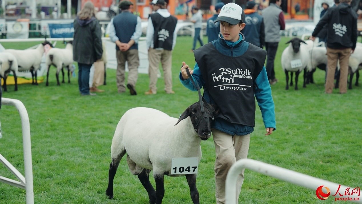 烏拉圭第118屆普拉多牧農(nóng)業(yè)國(guó)際博覽會(huì)現(xiàn)場(chǎng)。人民網(wǎng)記者 張若涵攝