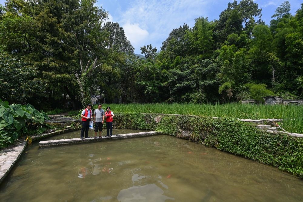 2023年8月17日，浙江省麗水市青田縣方山鄉(xiāng)田魚養(yǎng)殖戶吳勇強(qiáng)（中）在接受青田農(nóng)商銀行“小蜻蜓”服務(wù)隊(duì)志愿者提供的“惠民易貸”上門服務(wù)。近年來(lái)，青田縣金融發(fā)展中心聯(lián)合各個(gè)金融機(jī)構(gòu)優(yōu)化配套鄉(xiāng)村振興金融服務(wù)，推出“惠民易貸”“農(nóng)家樂貸”等金融產(chǎn)品，重點(diǎn)支持涉農(nóng)龍頭企業(yè)及特色種養(yǎng)殖產(chǎn)業(yè)。新華社記者 徐昱 攝