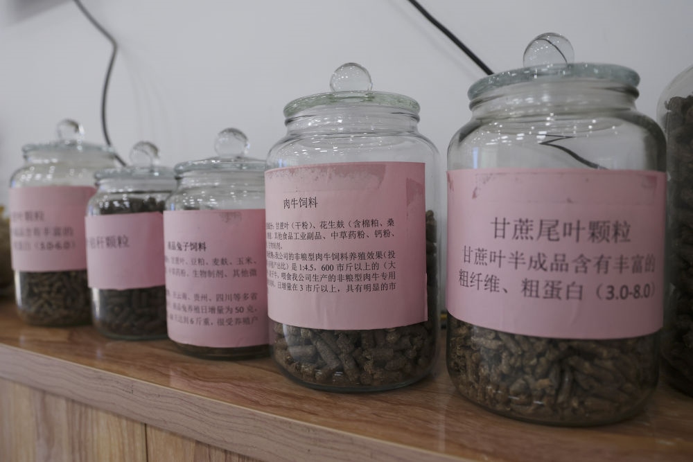 這是12月13日在來賓市興賓區(qū)小平陽鎮(zhèn)一家飼料廠拍攝的以甘蔗尾葉為原料制成的飼料。