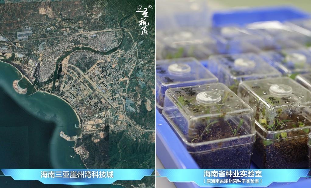 位于三亞崖州灣科技城的海南省種業(yè)實(shí)驗(yàn)室（原海南省崖州灣種子實(shí)驗(yàn)室）將形成輻射全國(guó)和“一帶一路”沿線國(guó)家的種子科學(xué)技術(shù)創(chuàng)新中心。