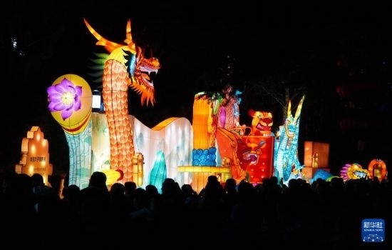 2月11日晚，人們在濟南市趵突泉公園觀賞花燈。