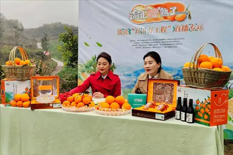 2021年2月26日，在重慶渝北區(qū)大盛鎮(zhèn)青龍村舉辦的直播活動現(xiàn)場。