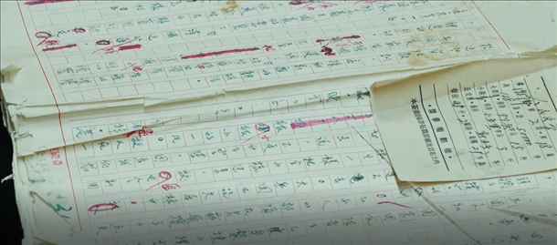 曲波《林海雪原》手稿。主辦方供圖