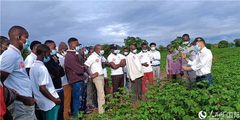 項目組長首小勇向當?shù)孛揶r(nóng)做技術(shù)講解。人民網(wǎng)記者 黃培昭攝