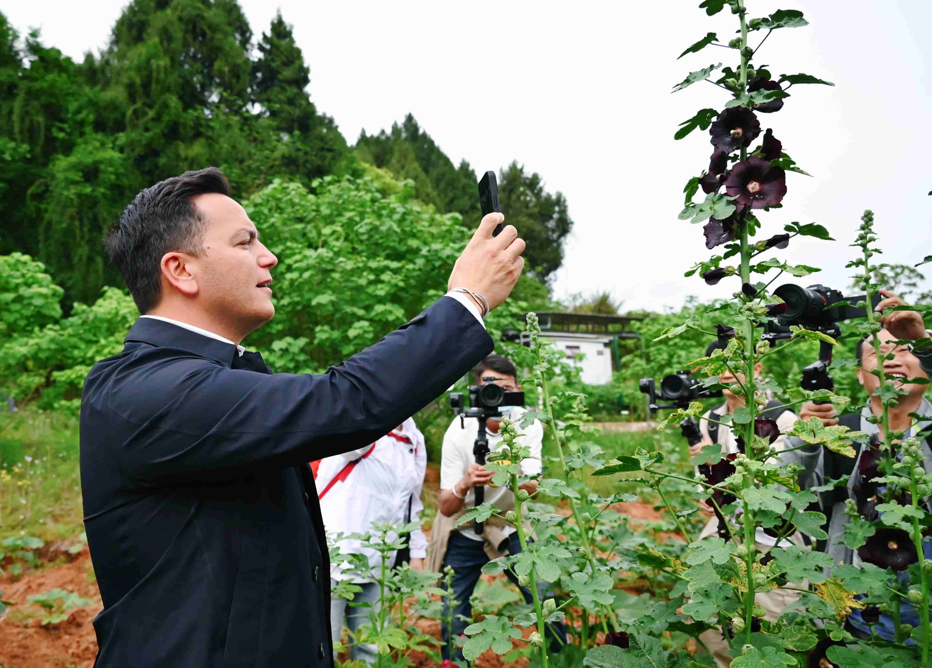  △2024年4月23日，國(guó)際園藝生產(chǎn)者協(xié)會(huì)主席萊昂納多·卡皮塔尼奧在成都市金堂縣鮮花山谷景區(qū)考察蜀葵產(chǎn)業(yè)。