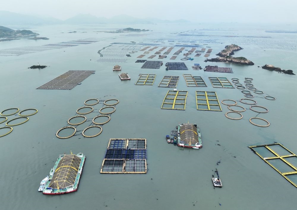 在福建連江定海灣海域，坐落著“定海灣1號(hào)”“定海灣2號(hào)”等深遠(yuǎn)海養(yǎng)殖平臺(tái)（2024年5月7日攝，無人機(jī)照片）。新華社記者 林善傳 攝