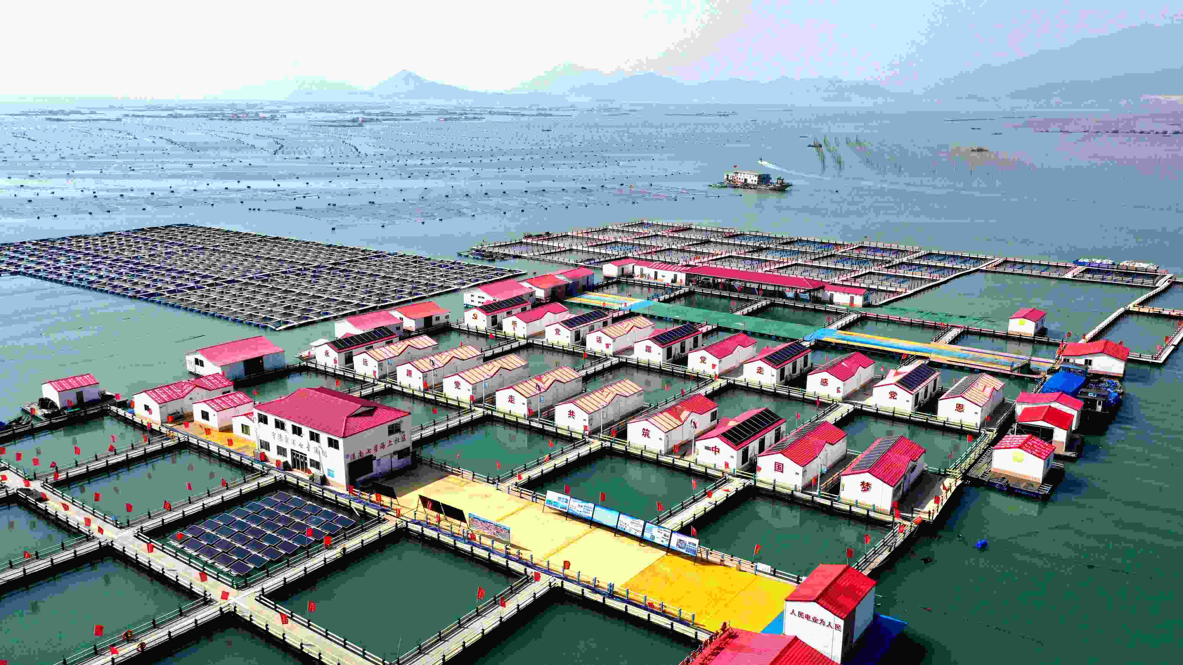 2024年3月20日，福建省寧德市，霞浦縣溪南鎮(zhèn)七星村漁排養(yǎng)殖示范區(qū)，漁民駕駛養(yǎng)殖船進(jìn)行海參養(yǎng)殖作業(yè)。