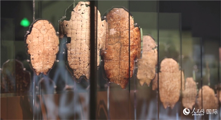 殷墟博物館新館的甲骨展品。人民網記者 劉寧攝