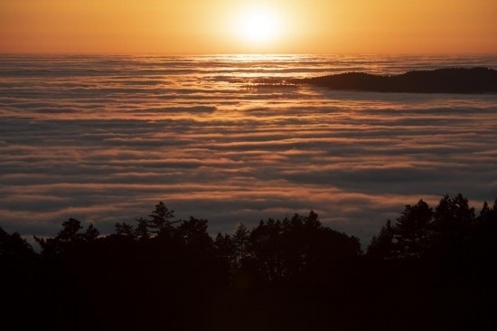 這是5月14日在美國加利福尼亞州馬林縣拍攝的云海。新華社發(fā)（李建國攝）