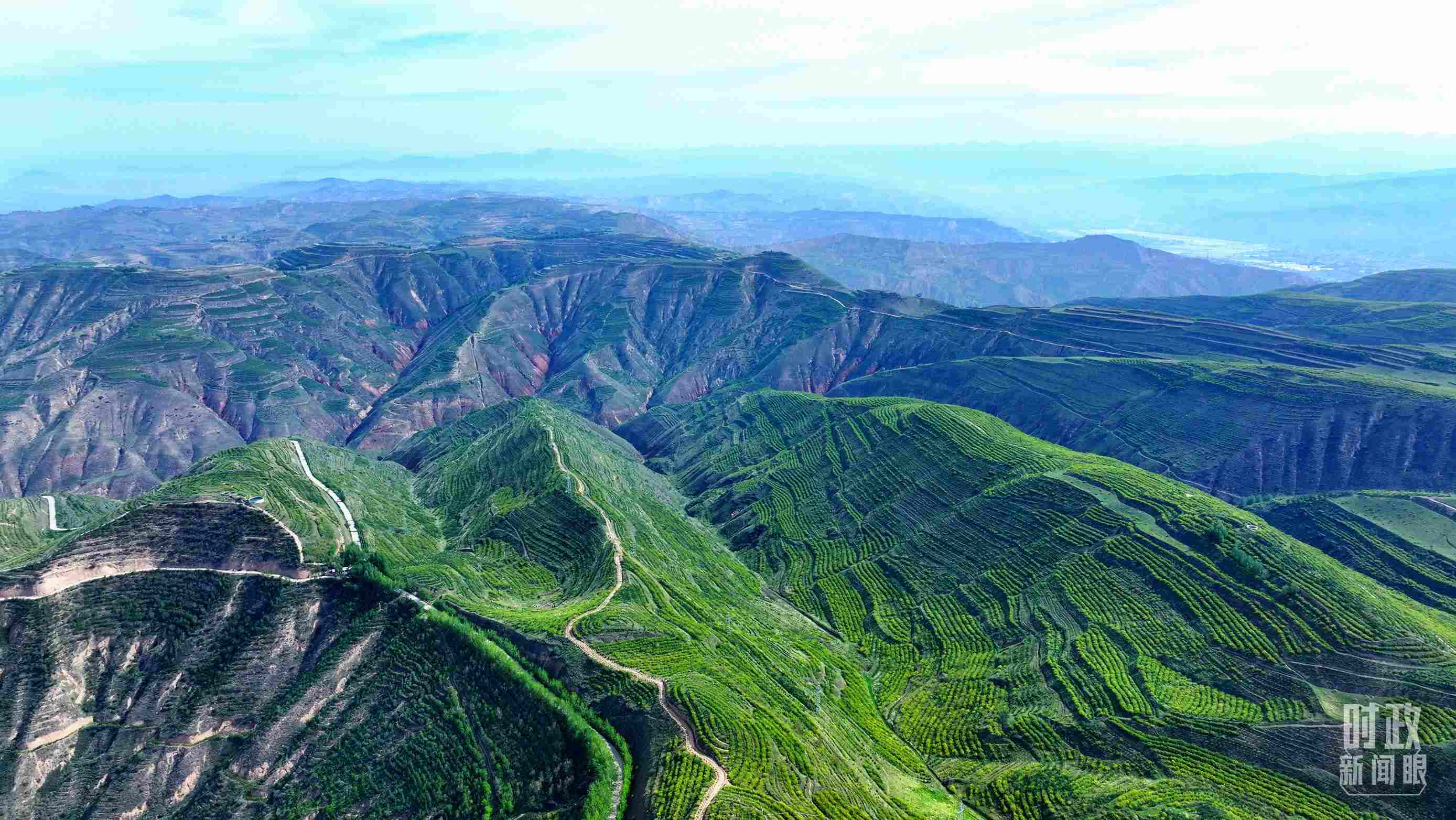 △青海西寧。（總臺記者柳成拍攝）