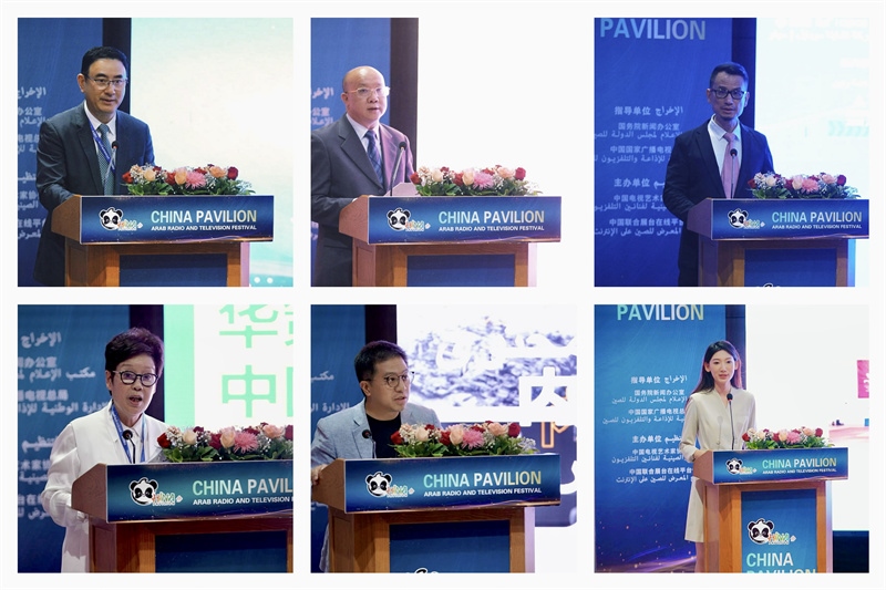 中國(guó)視聽機(jī)構(gòu)代表推介優(yōu)秀作品。主辦方供圖