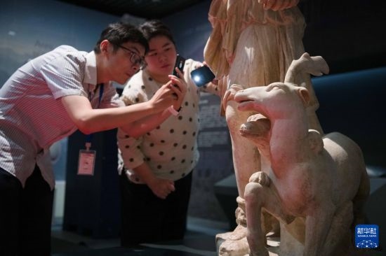 7月2日，安徽博物院工作人員在拍攝開箱后的古希臘文物。新華社記者 張端 攝