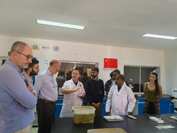 活動(dòng)現(xiàn)場(chǎng)。專家組供圖