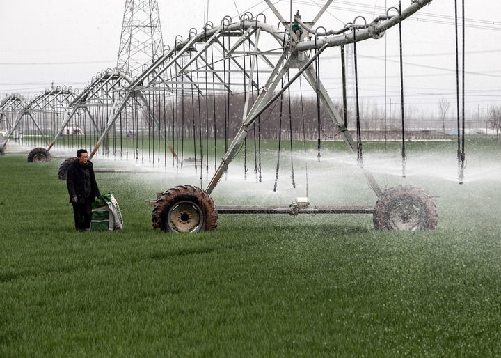 2024年3月18日，在河南省焦作市博愛(ài)縣孝敬鎮(zhèn)東原莊村瑞輝家庭農(nóng)場(chǎng)，村民使用全自動(dòng)指針式噴灌機(jī)進(jìn)行澆灌作業(yè)。新華社發(fā)（程全攝）