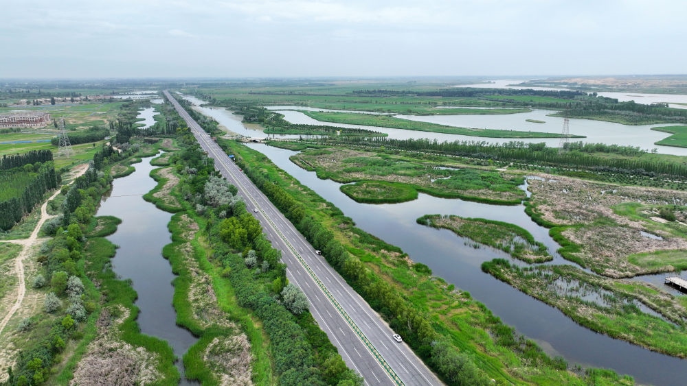 這是2024年6月13日拍攝的黃河寧夏段濱河大道（無人機照片）。近年來，寧夏努力建設黃河流域生態(tài)保護和高質量發(fā)展先行區(qū)，全力打好黃河保護持久戰(zhàn)。新華社記者 王鵬 攝