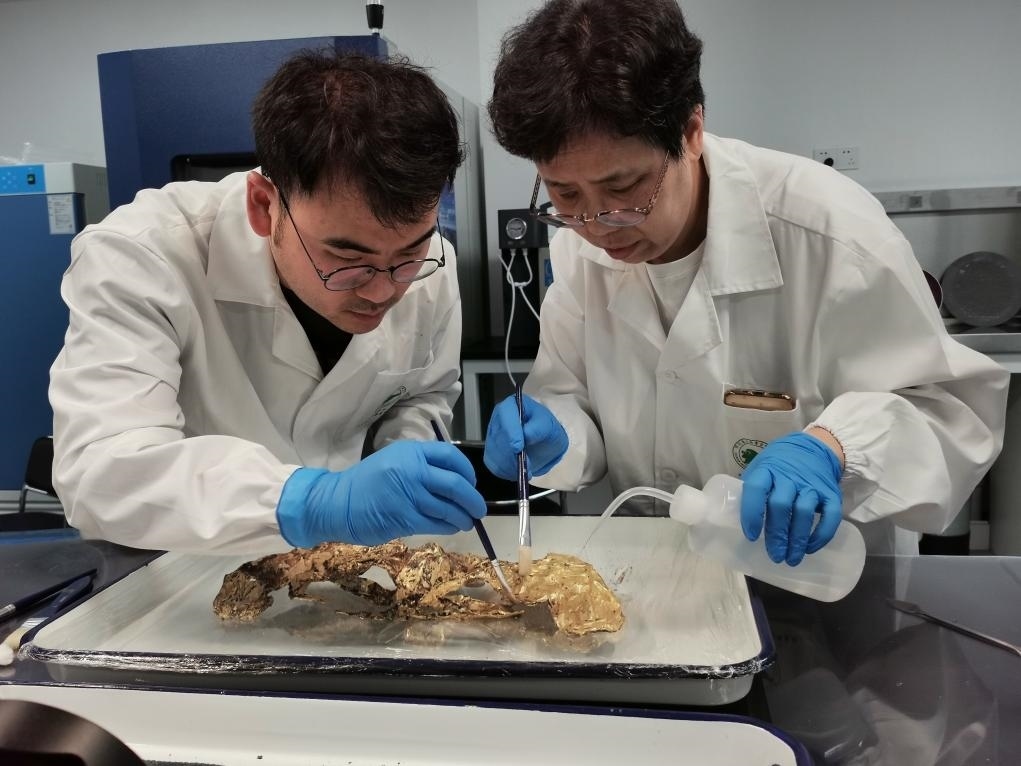 2023年7月，馬燕如（右）帶著魯海子（左）修復(fù)三星堆遺址出土的黃金面具。新華社發(fā)（四川省文物考古研究院供圖）