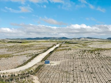 剛剛竣工的其白線穿沙公路。