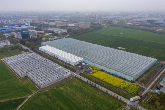 2024年3月28日，空中俯瞰嘉興南湖區(qū)湘家蕩農(nóng)業(yè)數(shù)字化工廠（無人機(jī)照片）。該農(nóng)業(yè)數(shù)字化工廠占地總面積約62畝，包含智慧農(nóng)業(yè)生產(chǎn)、物聯(lián)網(wǎng)智能管理、自動分揀包裝、保鮮儲藏物流、高科技示范展示等五大功能區(qū)，可直接或間接培養(yǎng)帶動新型職業(yè)技術(shù)農(nóng)民500人以上。新華社記者 徐昱 攝