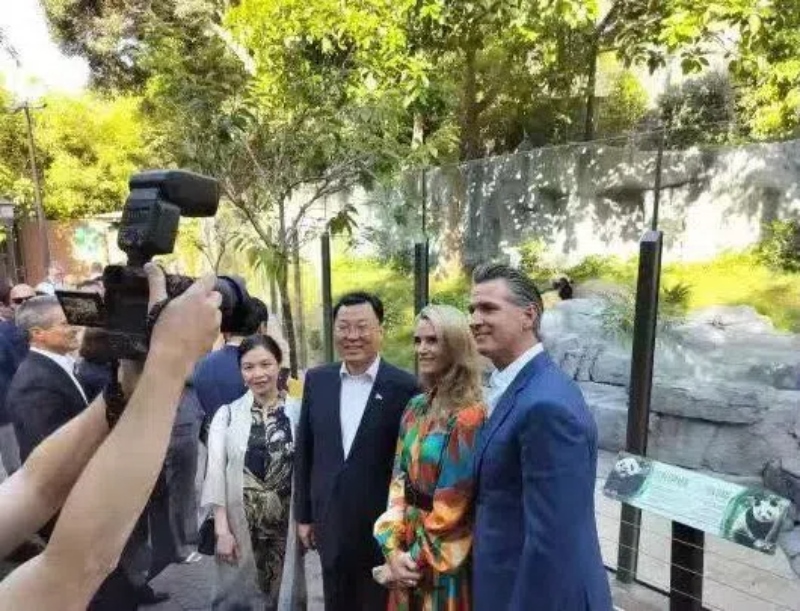 謝鋒大使及夫人與加州州長紐森夫婦在圣迭戈動物園大熊貓館前合影。圖片為中國駐美大使館提供