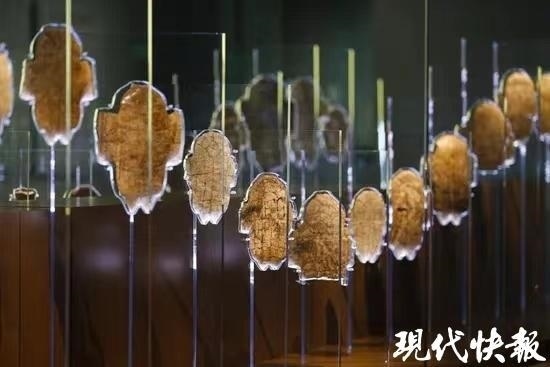 殷墟博物館新館內展出的甲骨