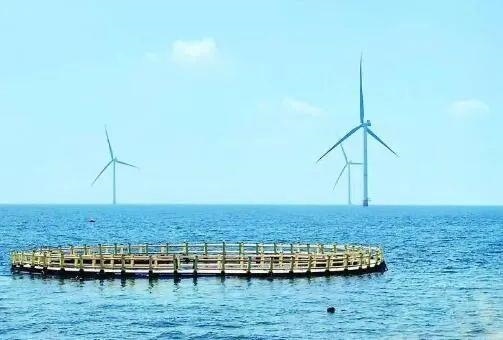 △山東萊州風(fēng)電項(xiàng)目實(shí)現(xiàn)了海上風(fēng)電和海洋牧場(chǎng)融合發(fā)展。