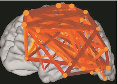 圖上的線條代表大腦皮層中與語(yǔ)言處理相關(guān)的各個(gè)區(qū)域之間的連接。當(dāng)閱讀時(shí)，這些區(qū)域的神經(jīng)元會(huì)以精確同步的方式激發(fā)，這種現(xiàn)象被稱為共同漣漪。圖片來(lái)源：加州大學(xué)圣迭戈分校