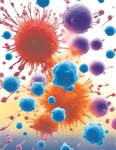 用氯化鈉處理的高活性CD8 T細(xì)胞（紫色），與未經(jīng)處理的細(xì)胞（藍(lán)色）相比，其抗腫瘤能力更強(qiáng)，能夠顯著損傷腫瘤細(xì)胞（紅色）。圖片來源：德國耶拿弗里德里希·席勒大學(xué)