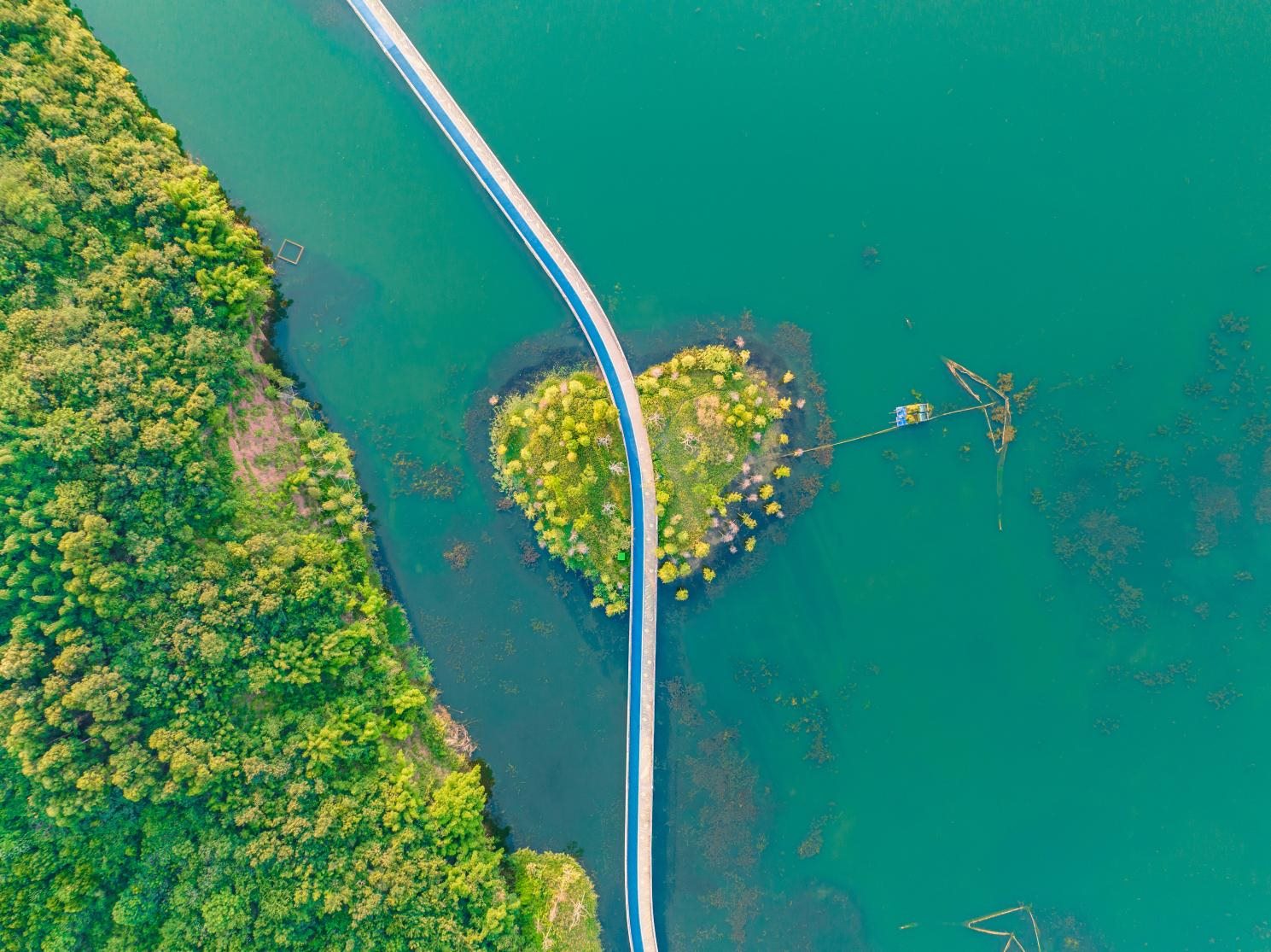 興隆湖棧道。四川天府新區(qū)融媒體中心供圖 攝影：馬驥）