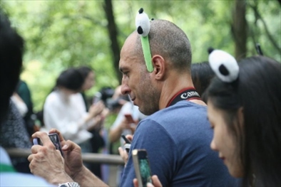 俄羅斯《俄羅斯報》視覺內(nèi)容編輯阿爾圖爾·杰魯諾夫在拍攝熊貓。（李佩藺 攝）