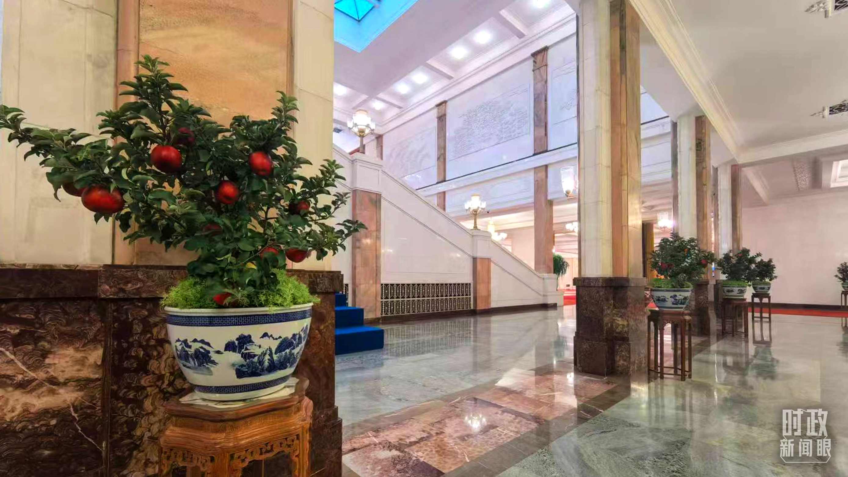  △大會堂內(nèi)的“碩果累累”盆栽。（總臺國廣記者吳倩拍攝）