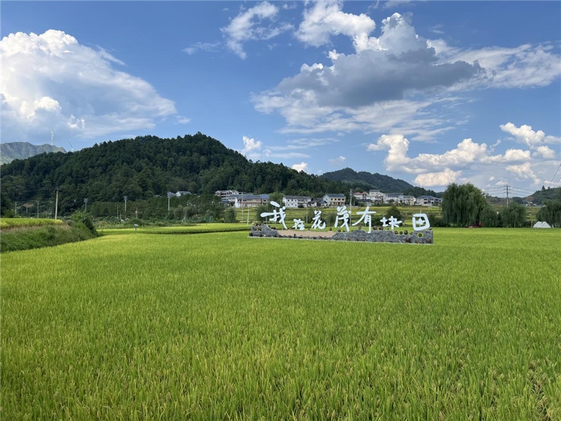 青瓦白磚的黔北民居、風中搖曳的稻田、抬手可觸的大片云朵……才剛下車，格魯吉亞“經(jīng)濟中心網(wǎng)”總編輯莉安娜·喬爾喬利亞尼就被眼前的景色拖住了步履，喃喃細語：“實在太美了，讓我內心平靜，在這里生活一定非常安逸和幸福。”（邱輝攝）