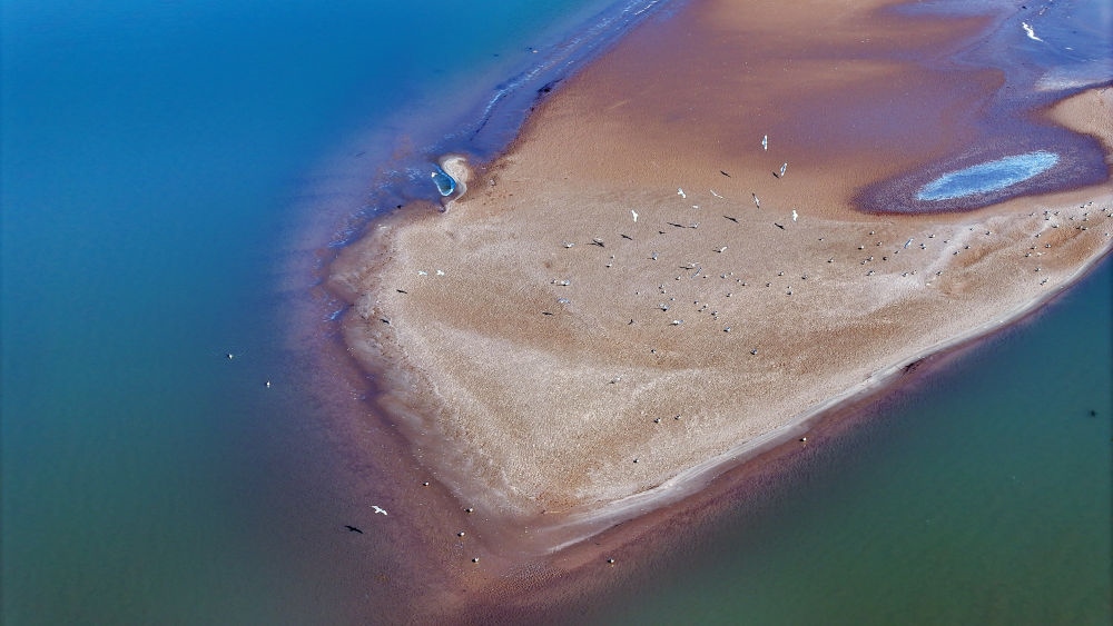 2024年3月1日拍攝的黃河寧夏段（無人機(jī)照片）。