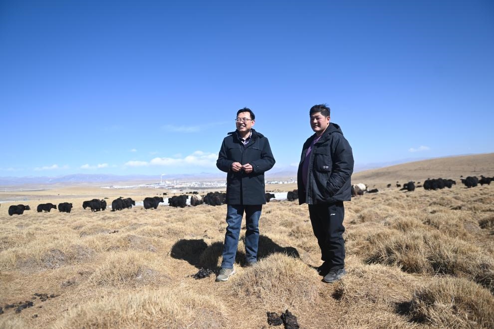 2023年2月24日，在青海省海北藏族自治州海晏縣青海湖鄉(xiāng)達(dá)玉日秀村，全國(guó)人大代表董全民（左）查看牧民東知布家的草場(chǎng)。新華社記者 張龍 攝