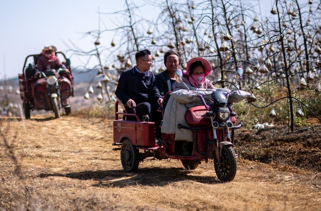 全國(guó)人大代表袁海波（右三）在云南省曲靖市馬龍區(qū)一種植基地了解務(wù)工人員就業(yè)需求（2023年2月11日攝）。新華社記者 江文耀 攝