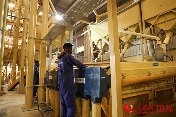 在Bule Hora咖啡加工廠里工作的當(dāng)?shù)毓と藗?。人民網(wǎng)記者 沈小曉攝