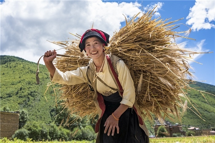康定市甲根壩鎮(zhèn)青稞豐收，農(nóng)牧民臉上洋溢著豐收的喜悅。林革文攝