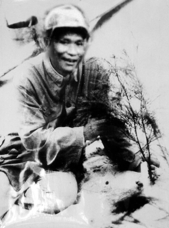 谷文昌與試種成活的木麻黃（資料照片）。為了治沙，谷文昌爬遍了東山縣400多個山頭，踏遍了30多公里的沙灘，終于帶領(lǐng)東山人民試種木麻黃成功。