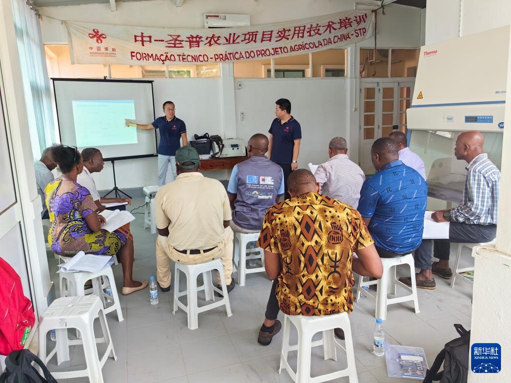 中國援圣普農(nóng)牧業(yè)技術(shù)項目組專家段振華（后左）在圣多美和普林西比的國家獸醫(yī)實驗室開展動物疫病監(jiān)測技術(shù)培訓(xùn)（2024年6月21日攝）。新華社發(fā)（中國援圣普農(nóng)技組供圖）