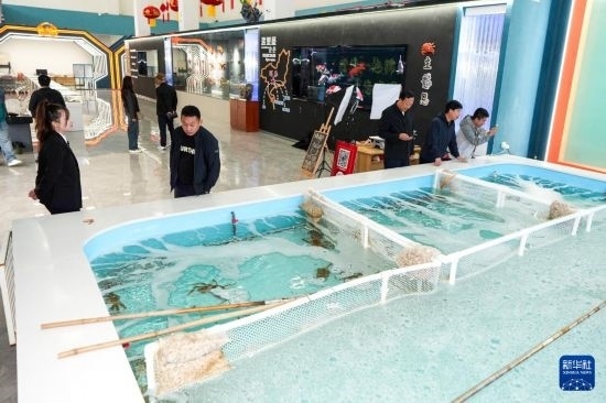 9月20日，游客在吉林省琿春市的帝王蟹保稅店內選購帝王蟹。新華社記者 許暢 攝