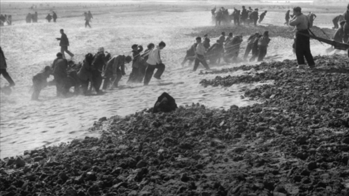 蘭考群眾在拉淤土壓沙。（新華社記者 鄧歷耕 攝）