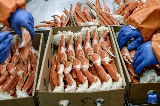 俄羅斯蟹業(yè)集團的工作人員在生產線上加工產品（資料照片）。新華社發(fā)（俄羅斯蟹業(yè)集團供圖）