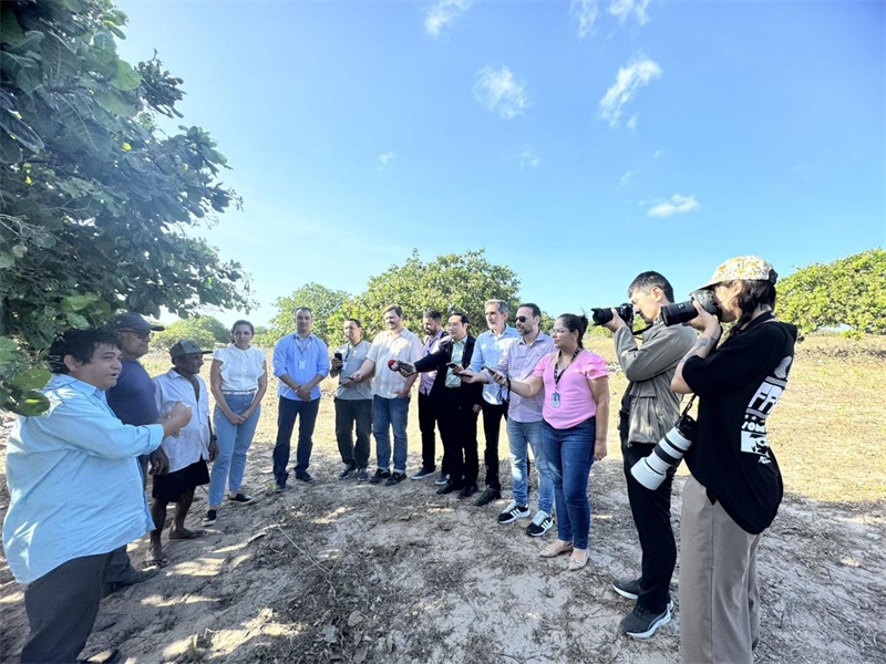 聯(lián)合采訪團(tuán)正在采訪中國企業(yè)在若昂卡馬拉市的扶貧開放項(xiàng)目 。孫佳攝