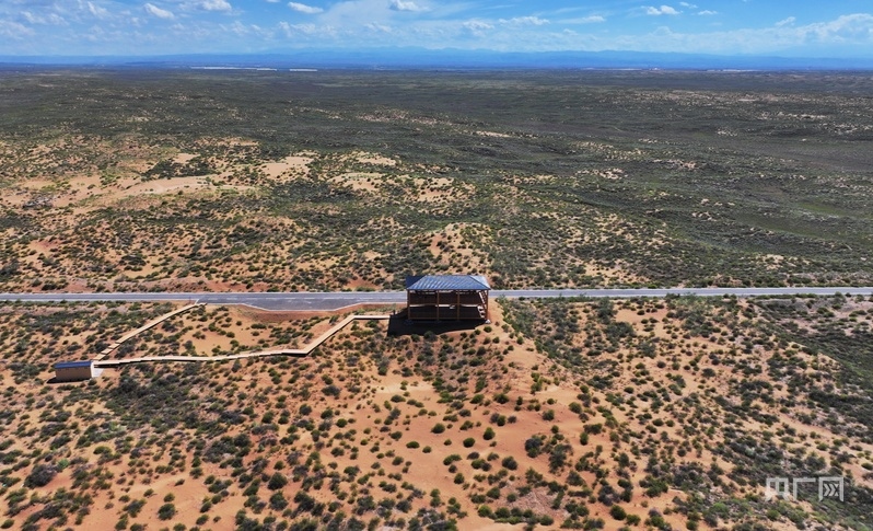 古浪縣一代代人治沙不息，讓綠色向沙漠深處不斷延伸（央廣網(wǎng)記者 李紅軍 攝）