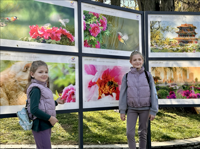 活動現(xiàn)場。中國駐保加利亞大使館供圖。