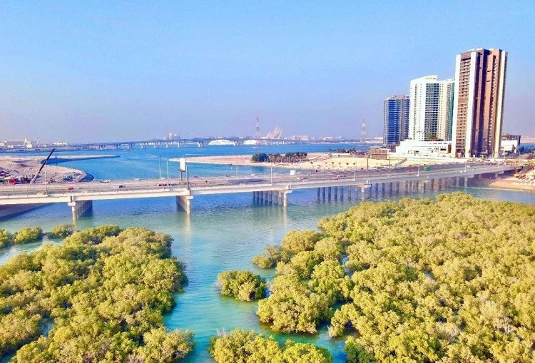 圖為瑞姆橋施工現(xiàn)場(chǎng)。中國(guó)土木供圖