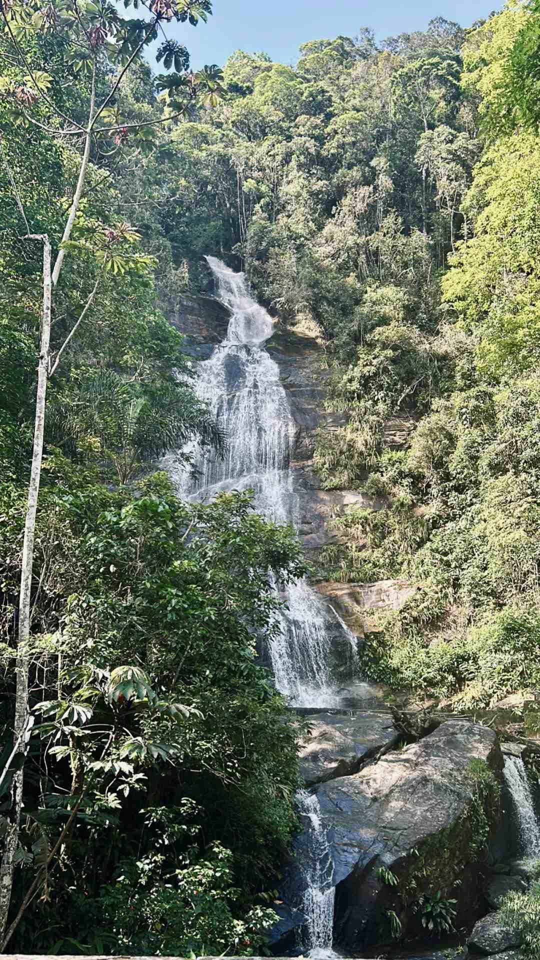 蒂茹卡國家公園（作者供圖）